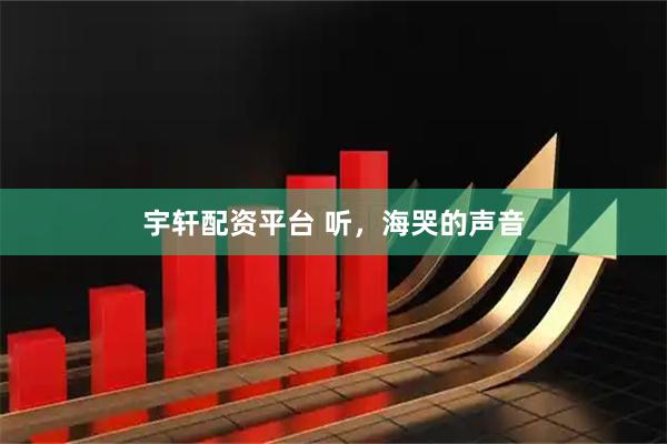 宇轩配资平台 听，海哭的声音