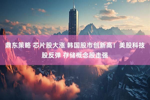 鼎东策略 芯片股大涨 韩国股市创新高！美股科技股反弹 存储概念股走强